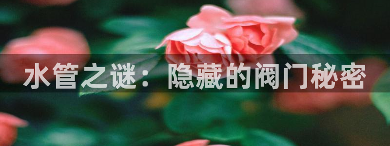 腾众娱乐彩票