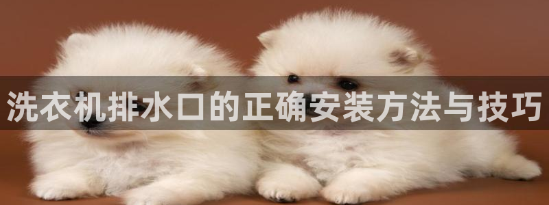 腾耀娱乐众推46996