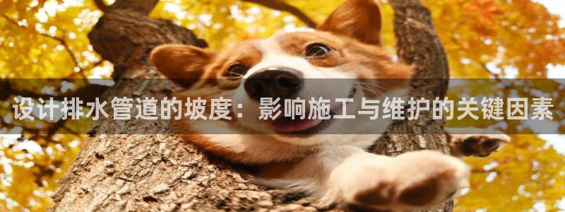 众腾娱乐博彩