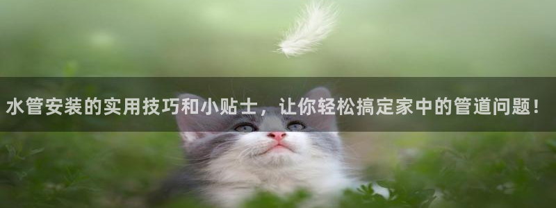 腾耀3娱乐众推8 28