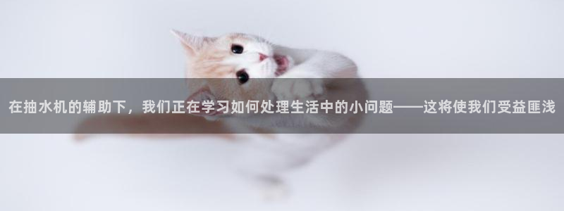 内蒙古众腾娱乐文化法人