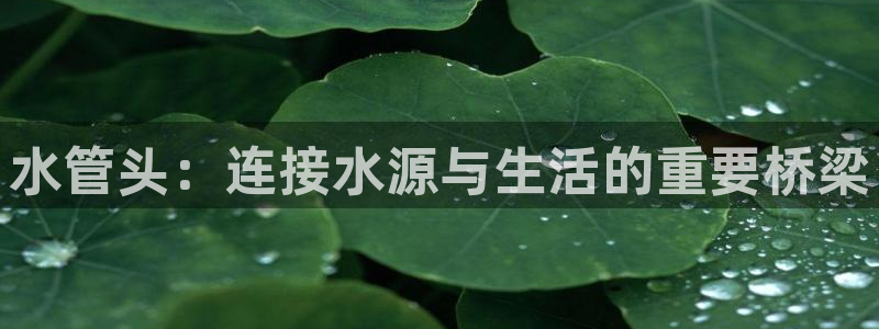 彝族自治州众腾娱乐