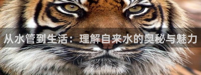 众腾娱乐发7O777