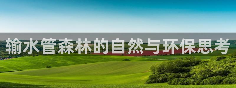 众腾娱乐梦幻演艺店