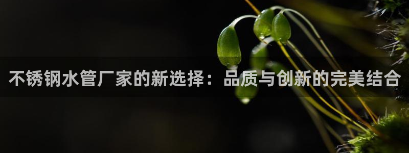 众腾娱乐毕 7O935
