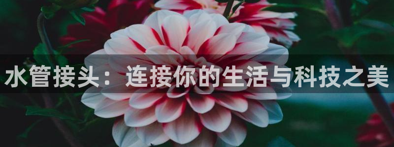 众东腾娱乐客服