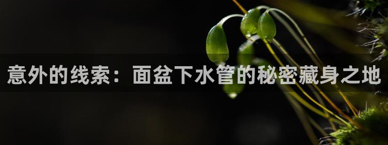众腾娱乐博彩