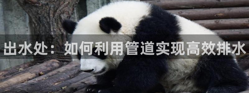 内蒙古众腾娱乐文化法人