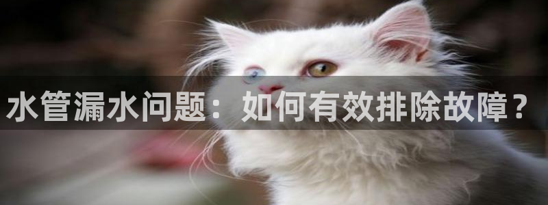 楚雄众腾娱乐是干什么的