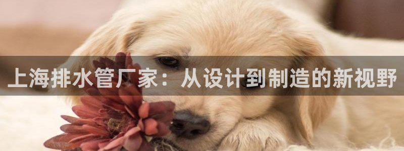 众腾娱乐梦幻演艺店