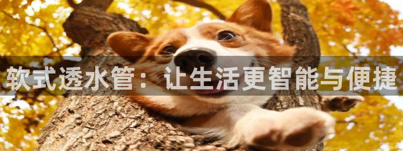 众腾娱乐代理怎么样