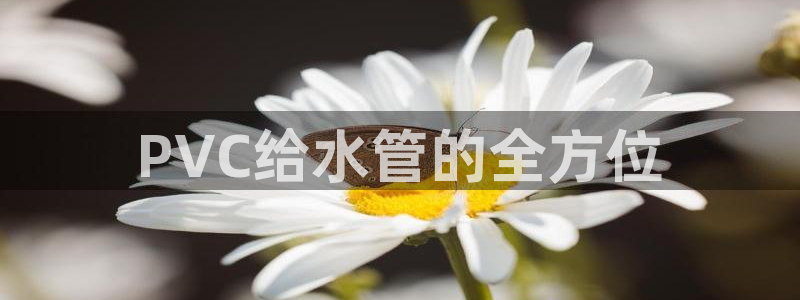 腾众娱乐是什么
