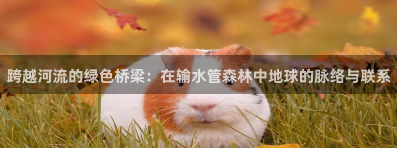 众腾娱乐扣款是正规的吗