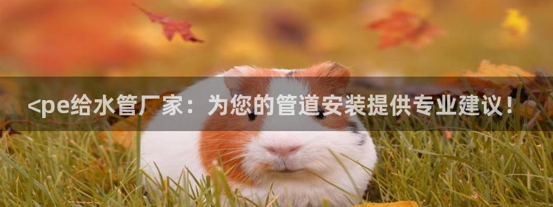 腾耀3娱乐众推8 28