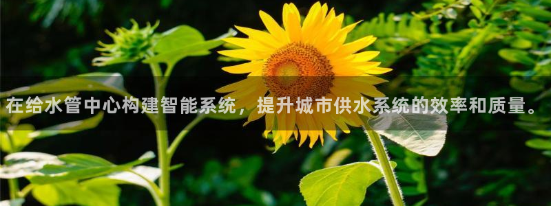 众腾娱乐毕 7O935