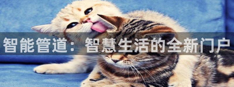 众腾娱乐官方客服电话