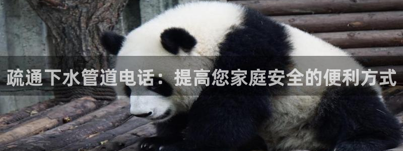 众腾娱乐平台群7O777