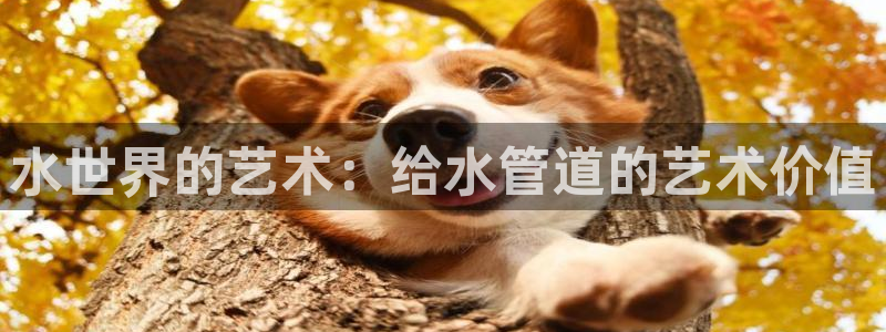 众腾娱乐平台下载