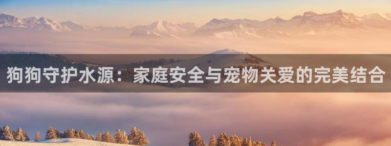 腾众娱乐的彩票靠谱吗