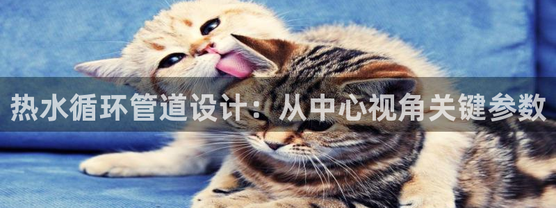 众腾娱乐官方客服电话