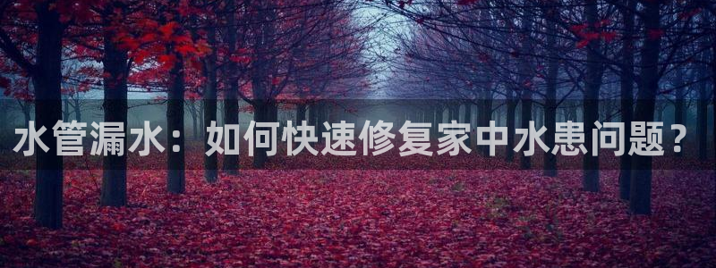 腾耀3娱乐众推8 28