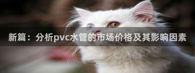 众腾娱乐平台官网入口