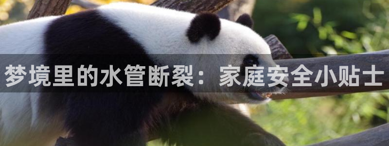 众东腾娱乐客服