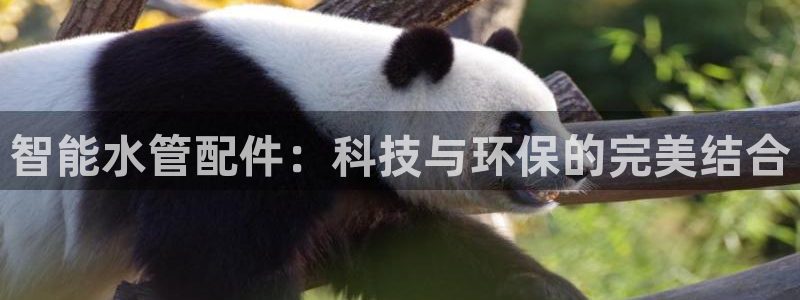 腾耀娱乐众推46996