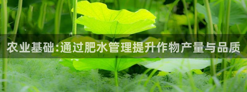 众腾娱乐平台官网入口