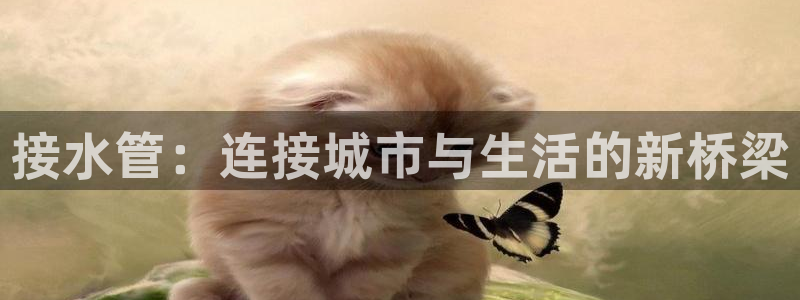 众腾娱乐平台群7O777